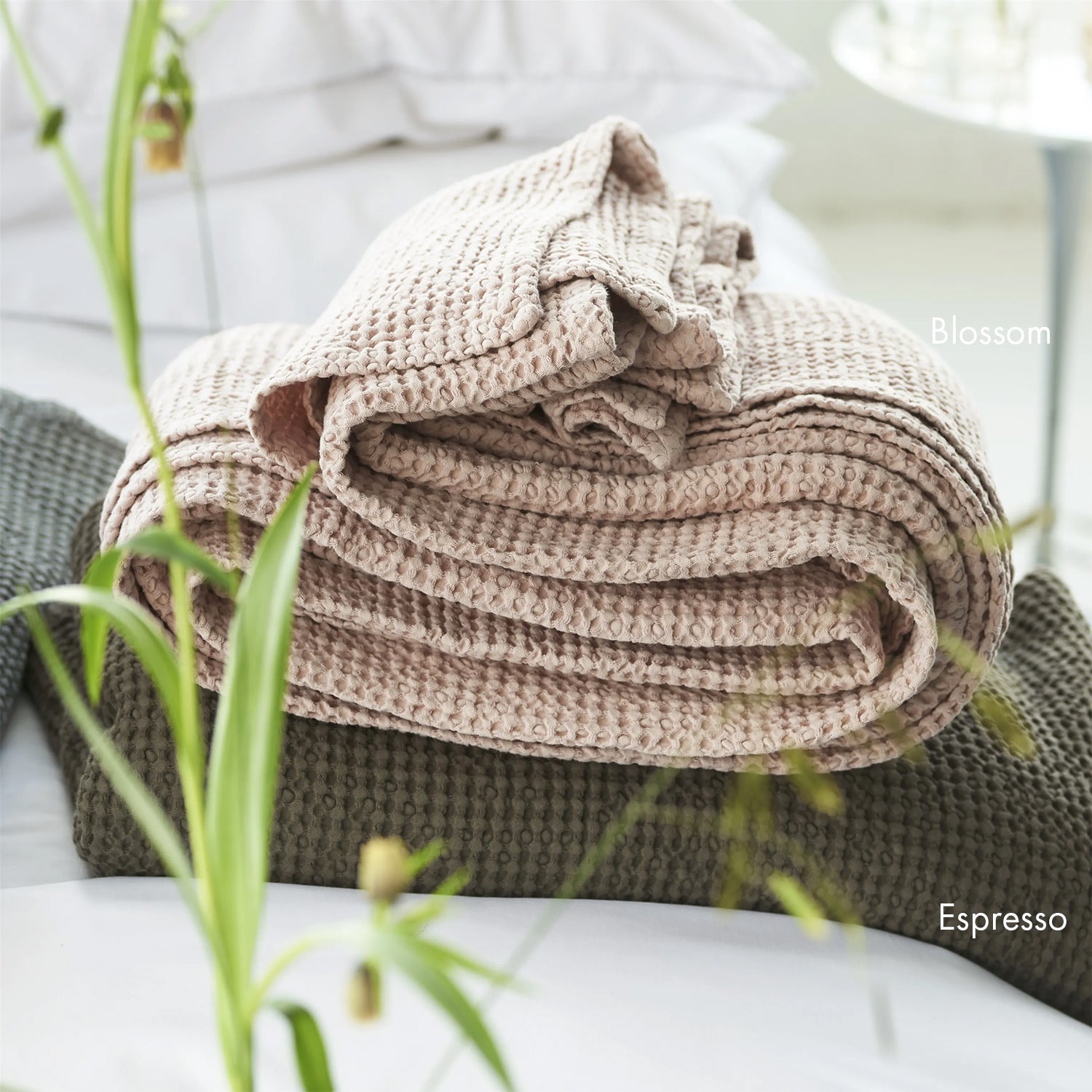 Alba Alabaster Cotton Throw アルバ スロー|Designers Guild(デザイナーズギルド) - HOUSE OF JAPAN Shop