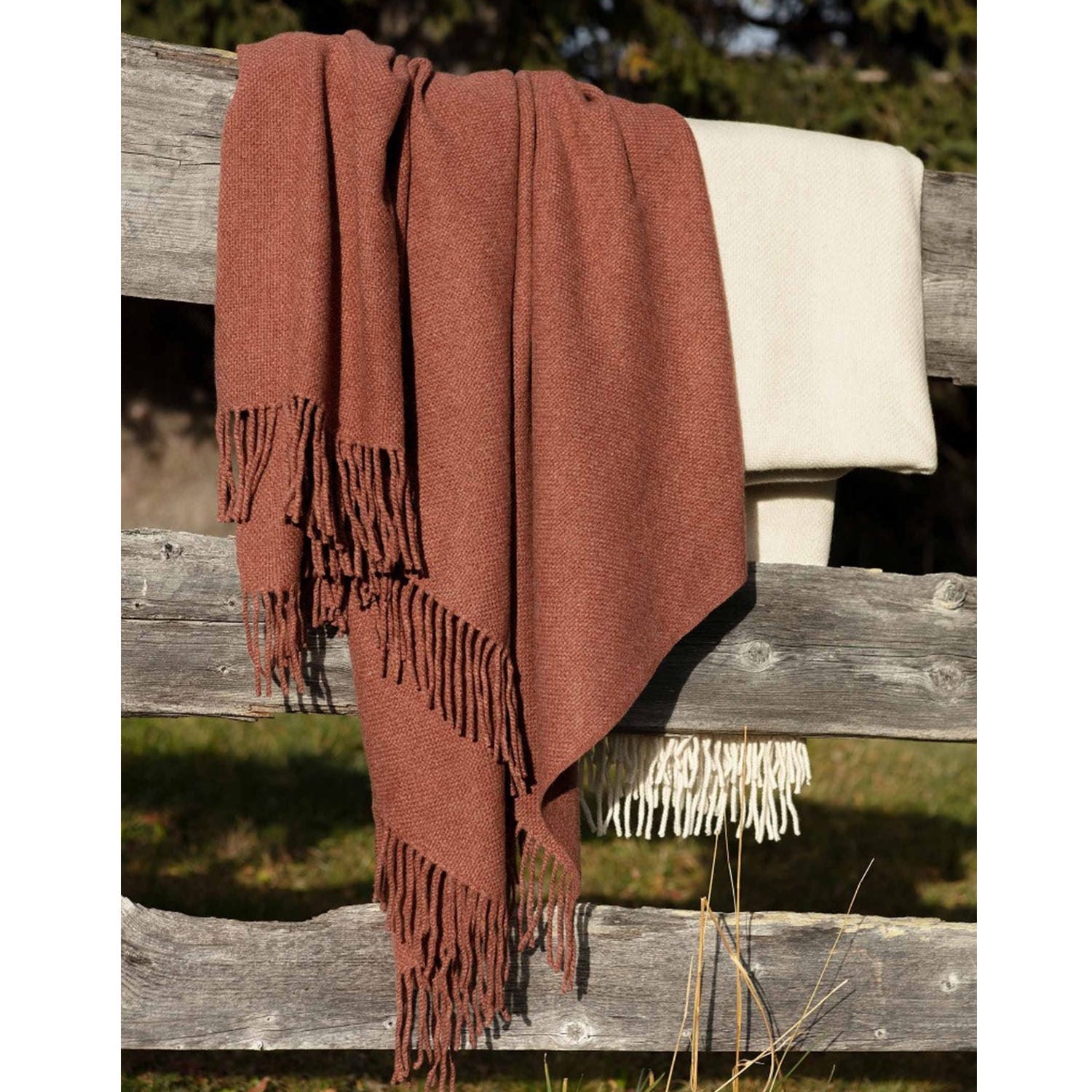 BISOU Throw 1019A ビズゥ スロー|FISBA(フィスバ) - HOUSE OF JAPAN Shop