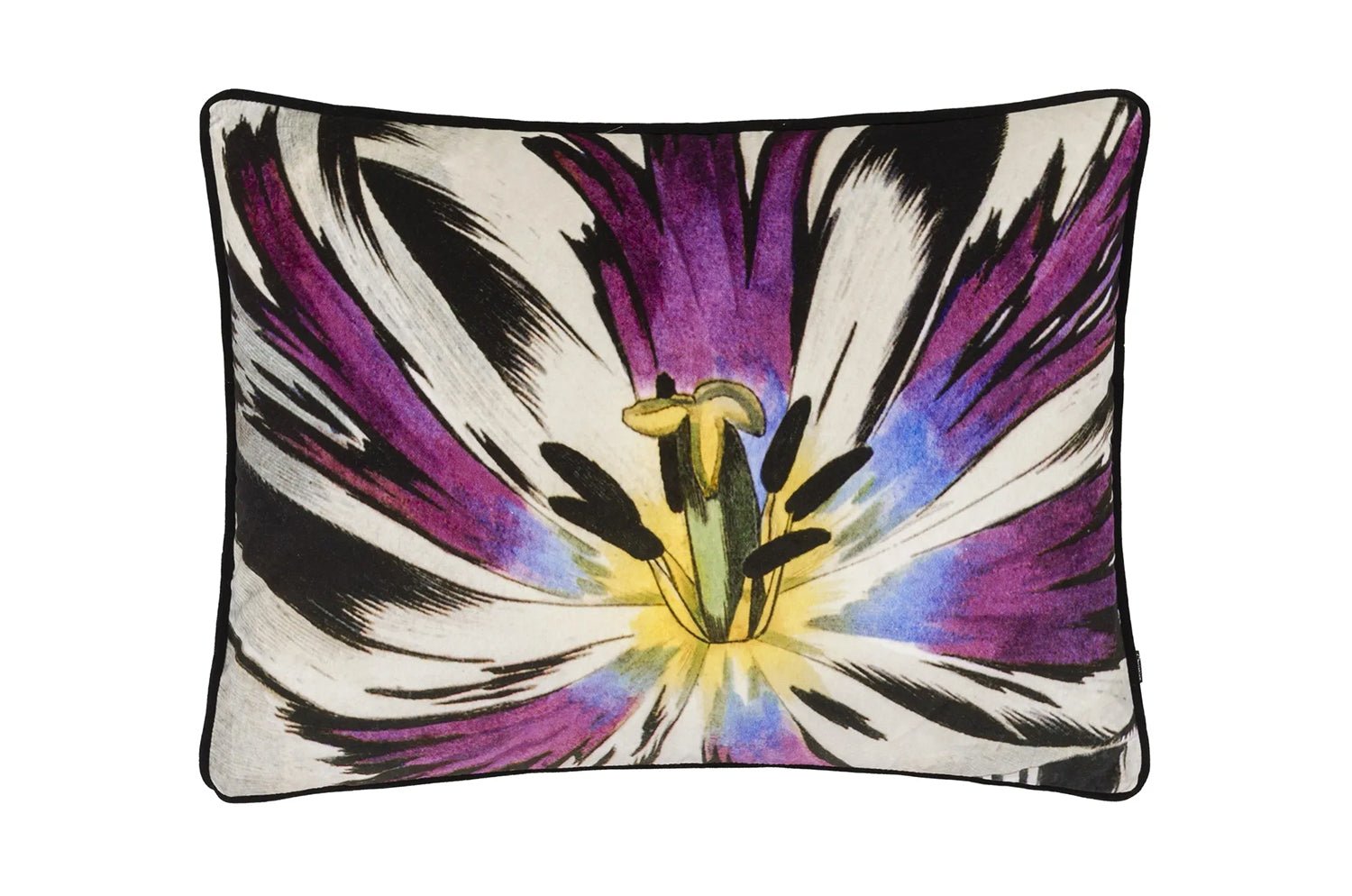 【海外取寄品】Christian Lacroix Eclosion Agate エクロシオン アゲート クッション 60×45cm 中材付 - HOUSE OF JAPAN Shop