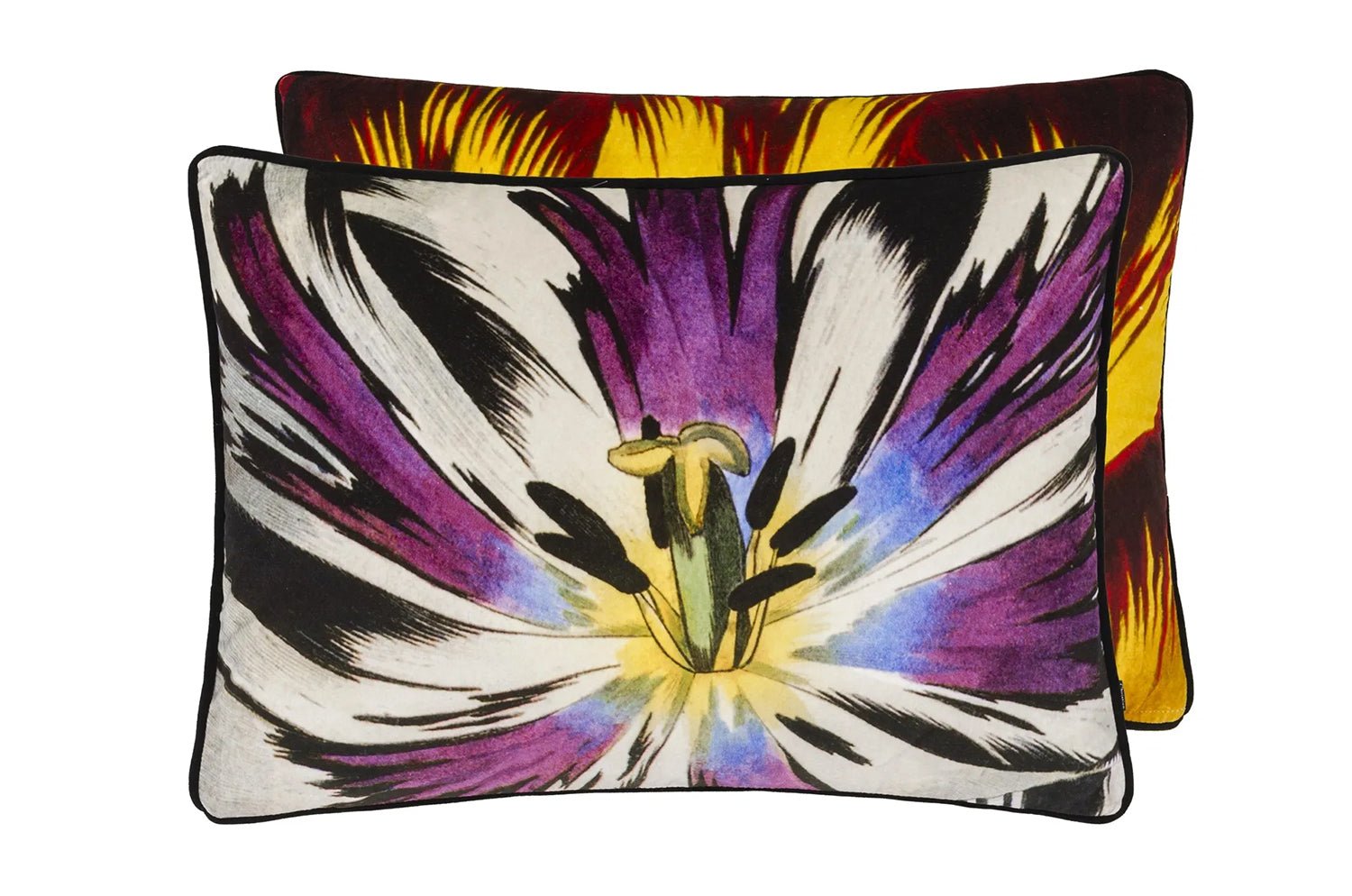 【海外取寄品】Christian Lacroix Eclosion Agate エクロシオン アゲート クッション 60×45cm 中材付 - HOUSE OF JAPAN Shop