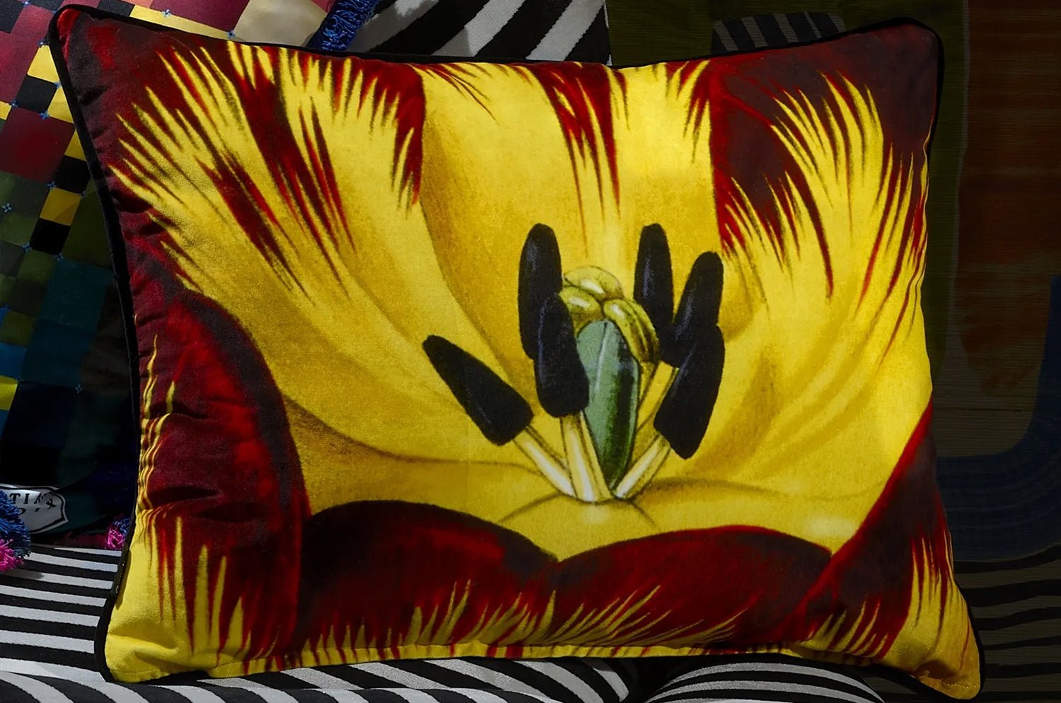 【海外取寄品】Christian Lacroix Eclosion Agate エクロシオン アゲート クッション 60×45cm 中材付 - HOUSE OF JAPAN Shop