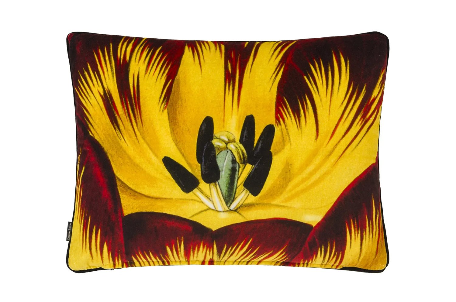 【海外取寄品】Christian Lacroix Eclosion Agate エクロシオン アゲート クッション 60×45cm 中材付 - HOUSE OF JAPAN Shop