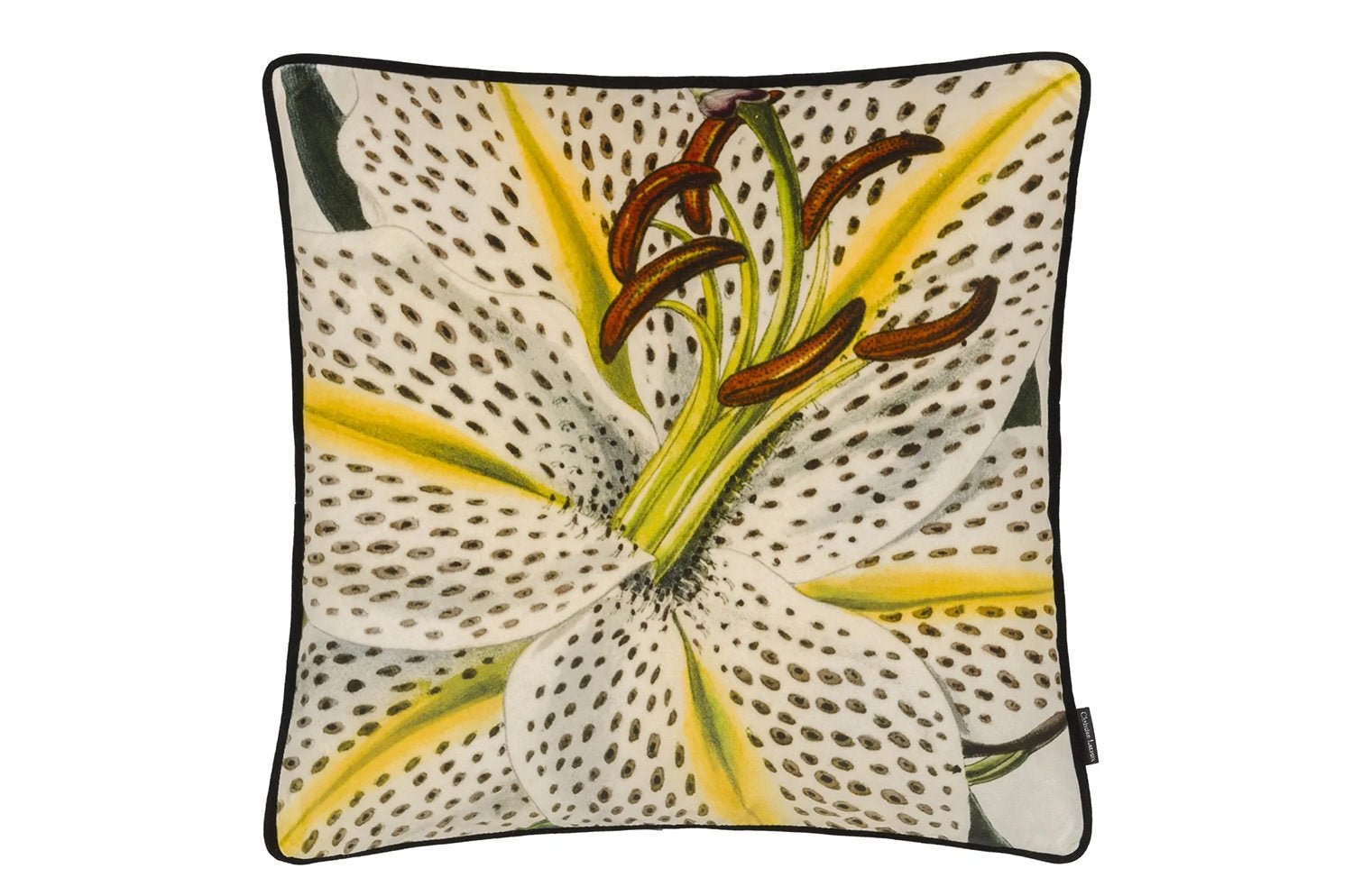 【海外取寄品】Christian Lacroix Flowered Craie フラワー クレイ クッション 55×55cm 中材付 - HOUSE OF JAPAN Shop