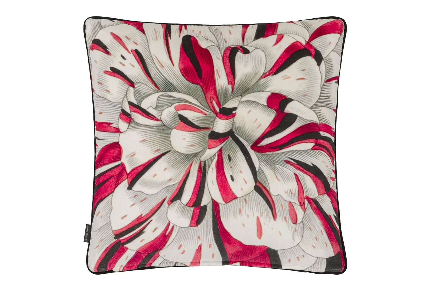 【海外取寄品】Christian Lacroix Flowered Craie フラワー クレイ クッション 55×55cm 中材付 - HOUSE OF JAPAN Shop