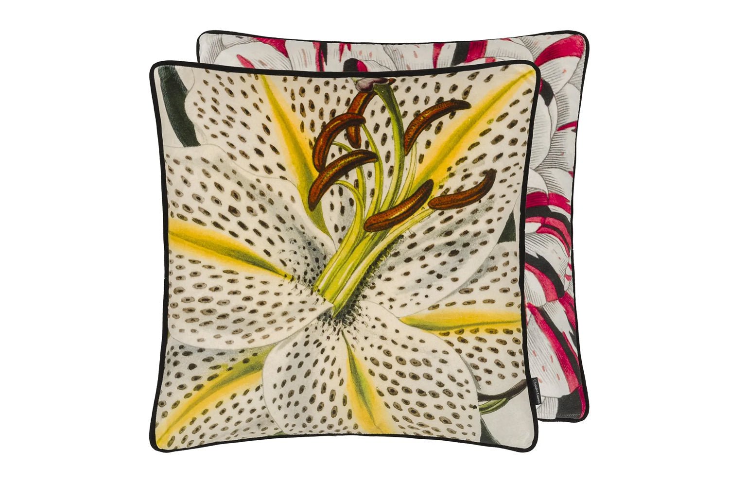 【海外取寄品】Christian Lacroix Flowered Craie フラワー クレイ クッション 55×55cm 中材付 - HOUSE OF JAPAN Shop