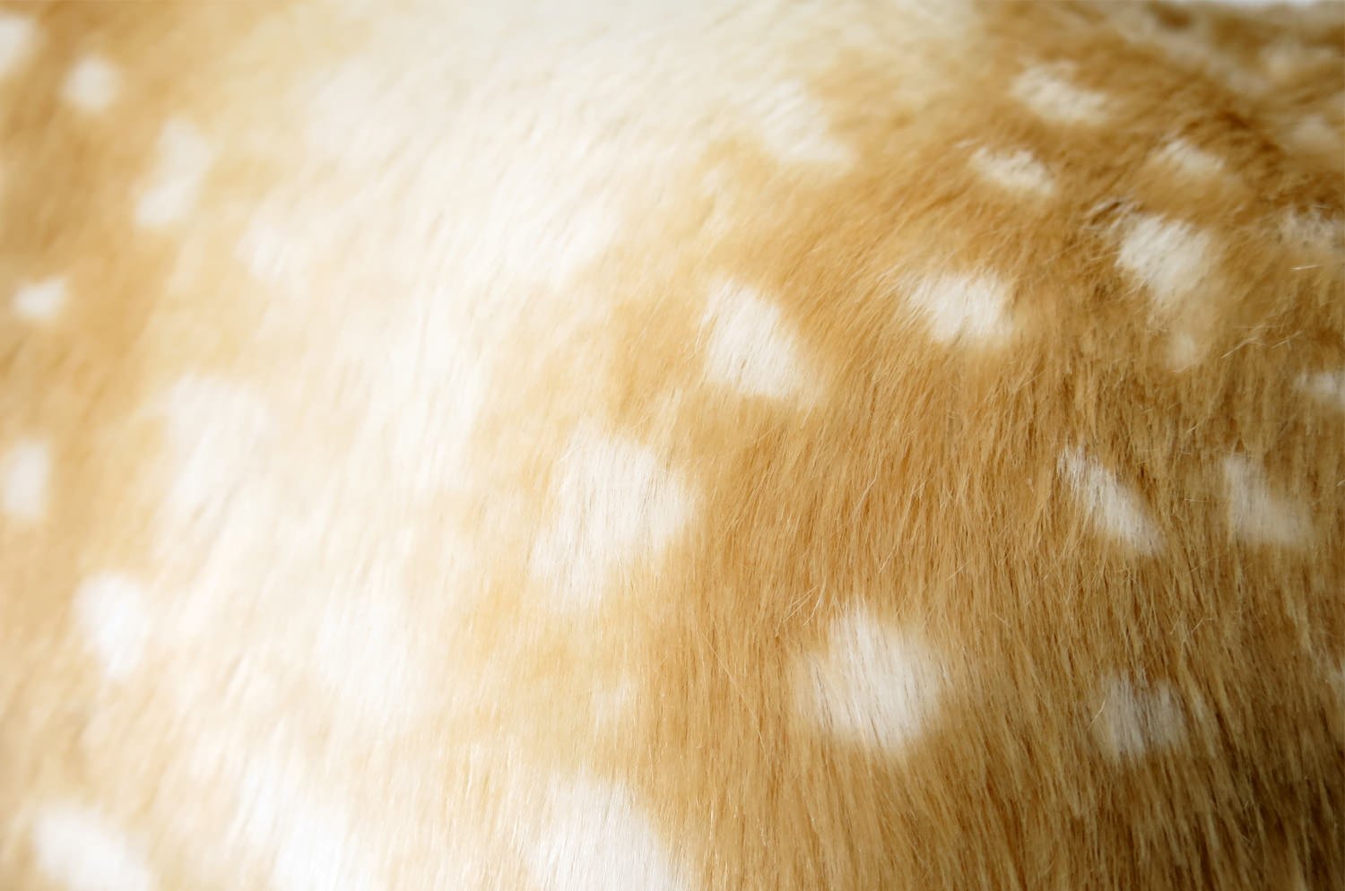 The Bambi 至極の手触りエコファー バンビ クッションカバー 50×50cm - HOUSE OF JAPAN Shop