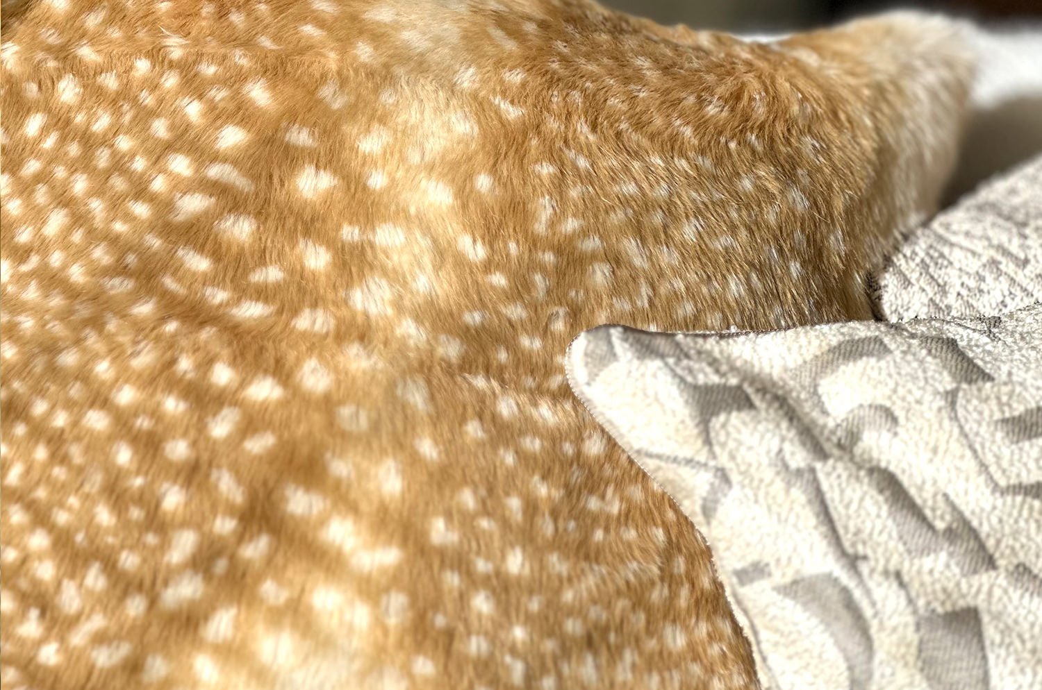 The Bambi 至極の手触りエコファー バンビ クッションカバー 50×50cm - HOUSE OF JAPAN Shop