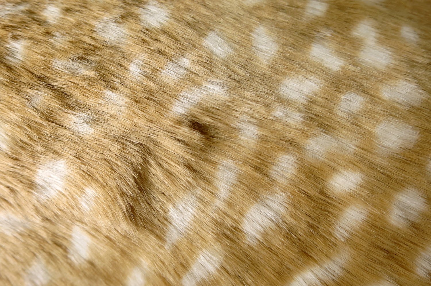 The Bambi 至極の手触りエコファーバンビクッション 53×29cm 中材付 - HOUSE OF JAPAN Shop