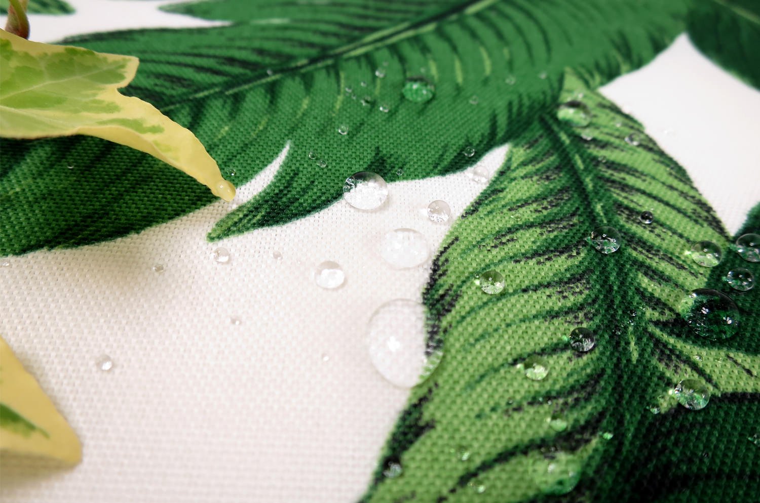 The Botanical アウトドア&インドア ボタニカル 撥水シートクッション (Banana Leaf) 45角 中材付 - HOUSE OF JAPAN Shop