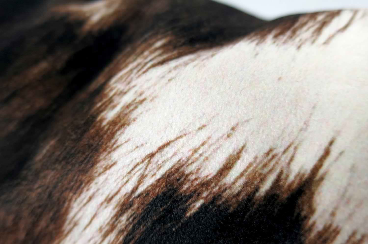 The Cow スペイン製起毛スエードタッチ 牛柄クッションカバー ブラウン 45×45cm - HOUSE OF JAPAN Shop