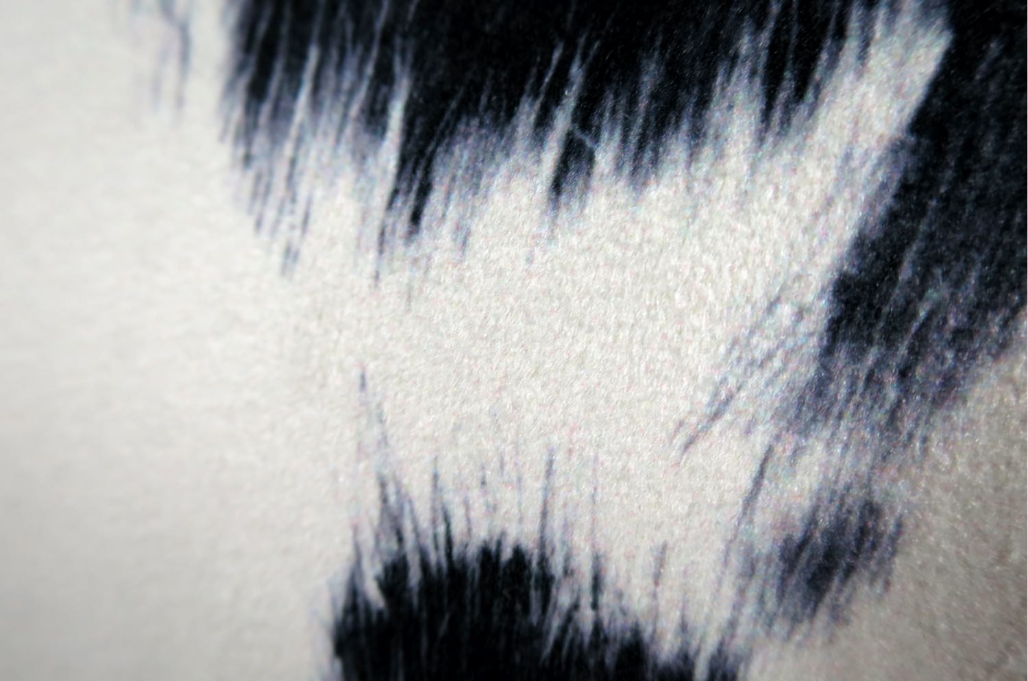 The Cow スペイン製起毛スエードタッチ 牛柄クッションカバー ブラック 45×45cm - HOUSE OF JAPAN Shop