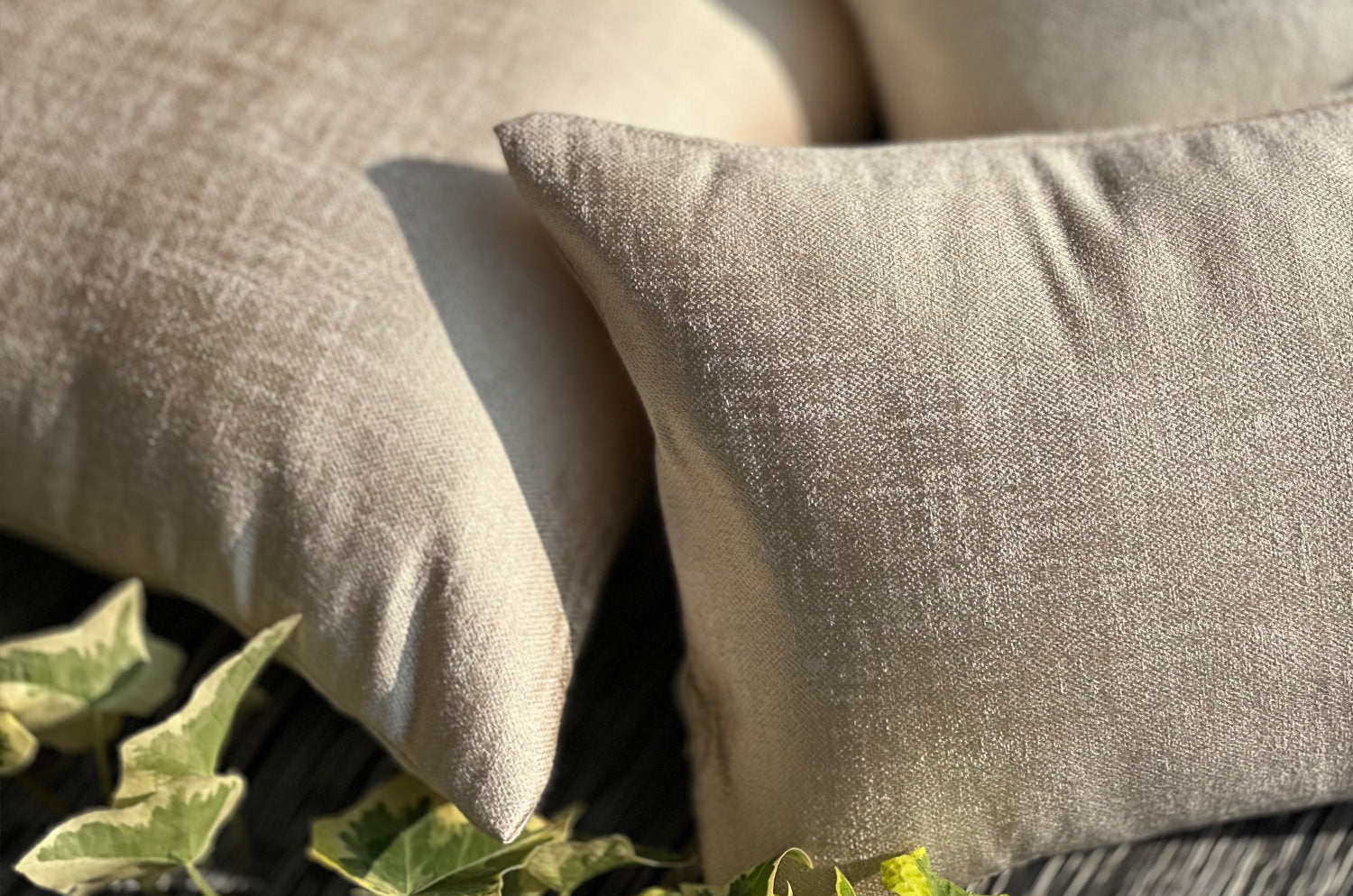 The KEY シャインクッションカバー (クリーム) 45×45cm - HOUSE OF JAPAN Shop