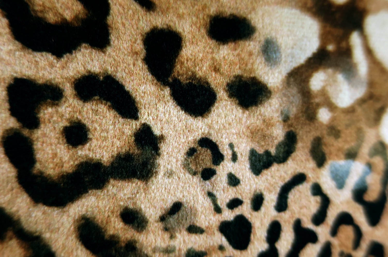 The Leopard スペイン製 起毛スエード調 ヒョウ柄クッションカバー 50×50cm - HOUSE OF JAPAN Shop