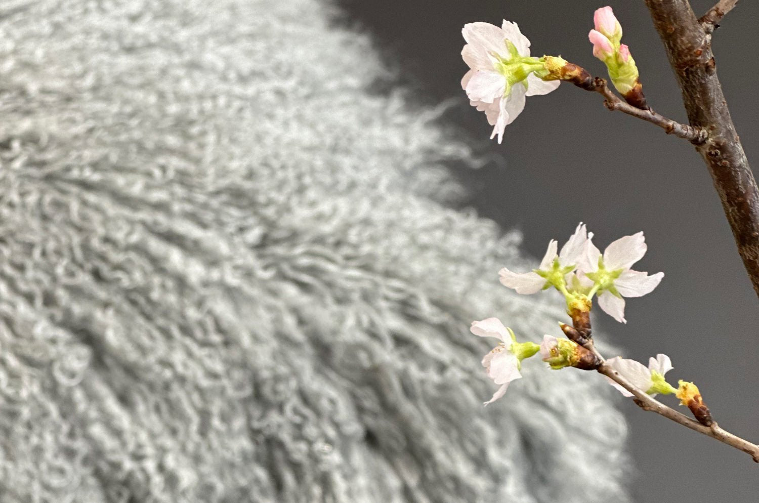 The Luxury Tibet Lamb 全面チベットラムクッションカバー (ドゥリズルグレー) 40×40cm - HOUSE OF JAPAN Shop