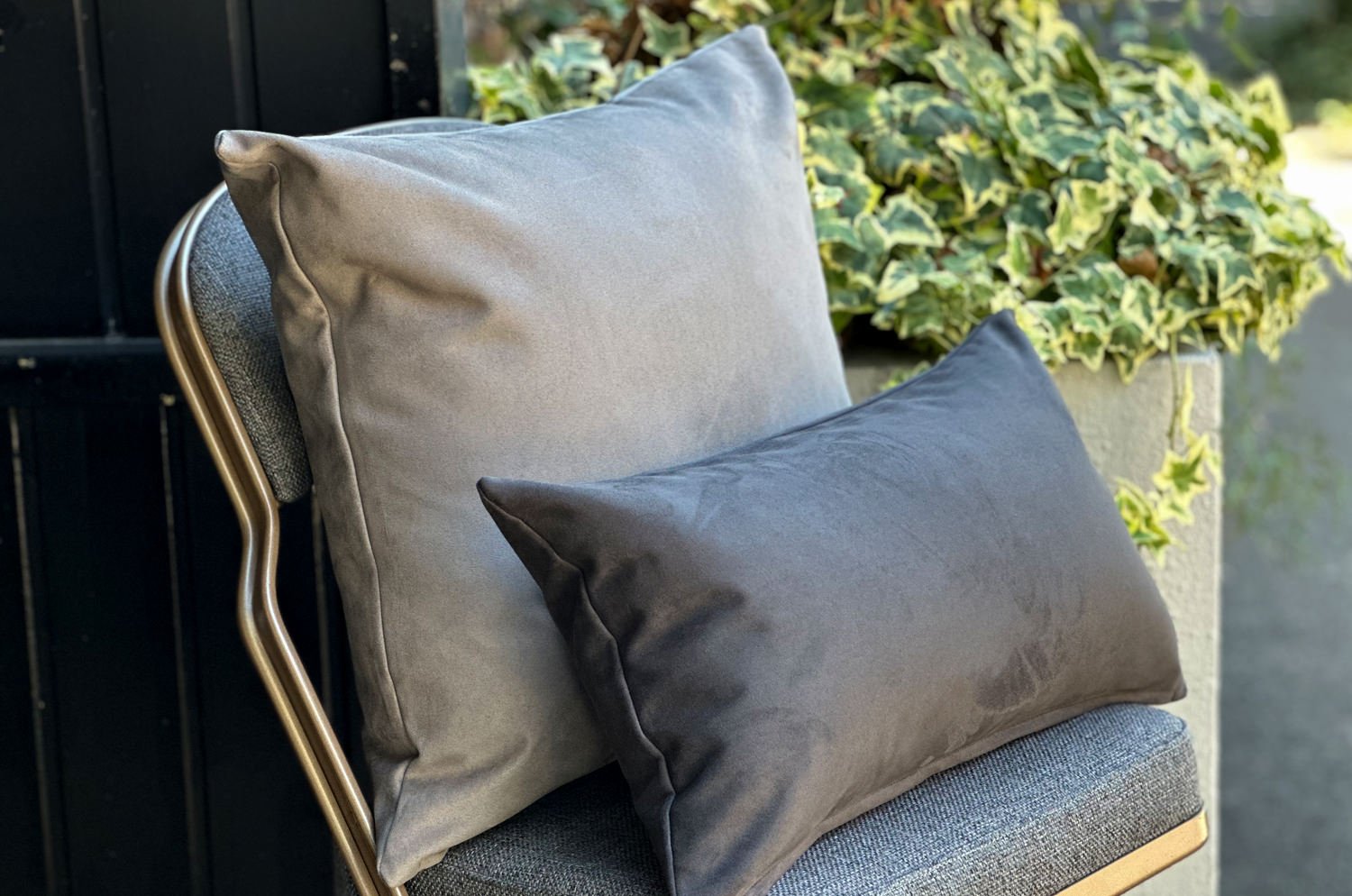 The Pet Luxe Suede ペットと暮らす 洗える高級スエード調クッションカバー(ライトグレー) 50×50cm - HOUSE OF JAPAN Shop