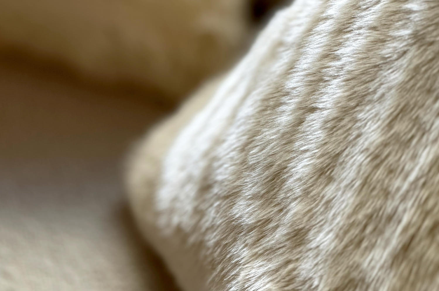 The Rex 至極の手触りエコファー レッキス クッション (ミルクティー ) 45×30cm 中材付 - HOUSE OF JAPAN Shop