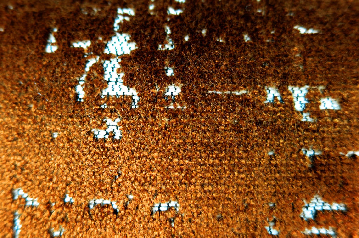 The SPHINX スフィンクス フレンチデザインベルベット クッションカバー (ブロンズ) 45×45cm - HOUSE OF JAPAN Shop