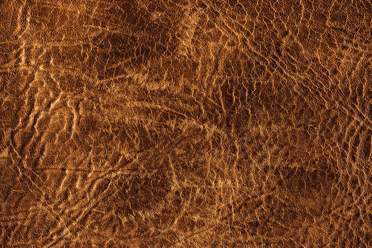 本革＆合皮クッション - HOUSE OF JAPAN Shop