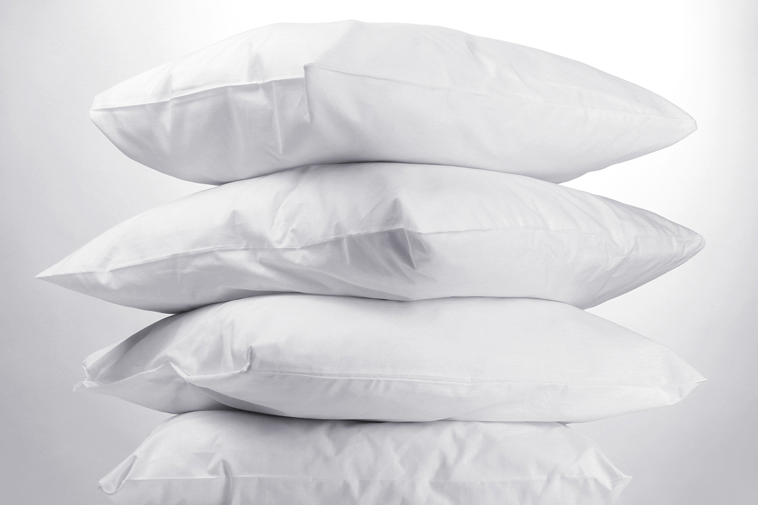 ヌードクッション（中材） - HOUSE OF JAPAN Shop