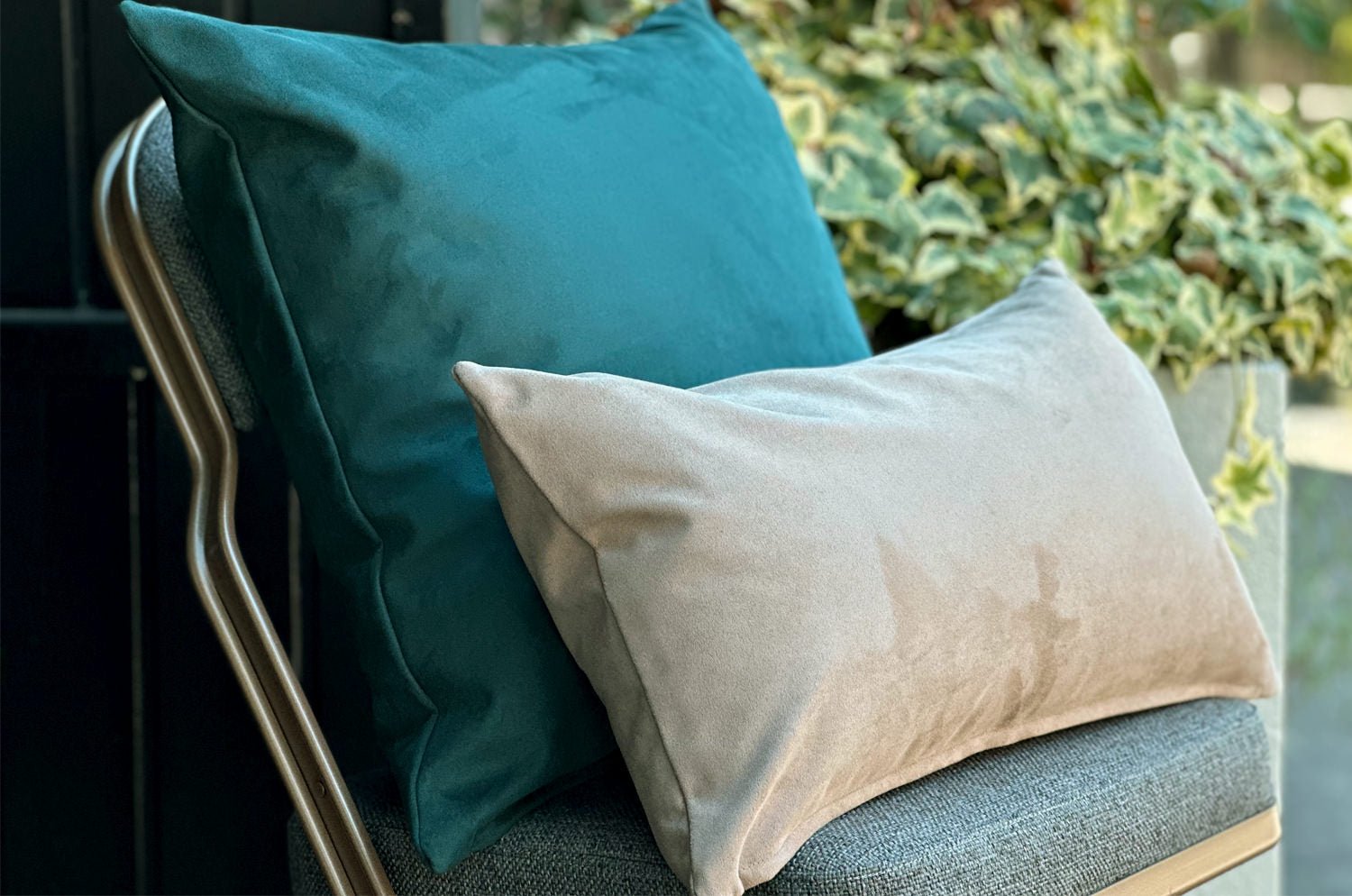The Pet Luxe Suede ペットと暮らす 洗える高級スエード調クッションカバー(グリーン) 50×50cm - HOUSE OF JAPAN Shop