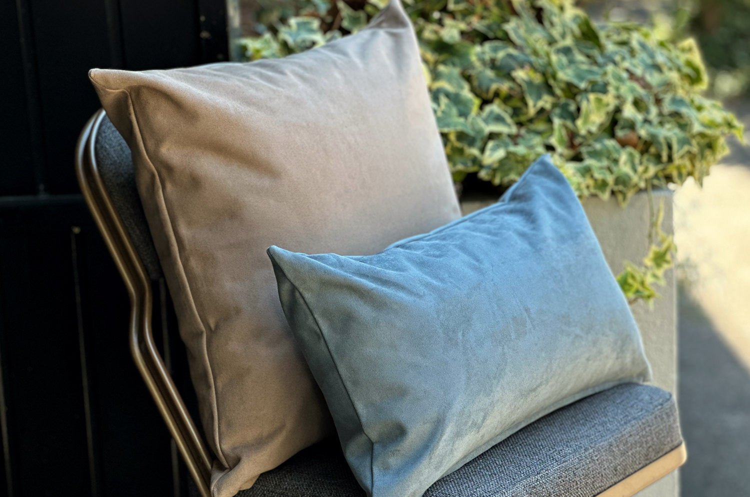 The Pet Luxe Suede ペットと暮らす 洗える高級スエード調クッションカバー(ベージュ) 50×50cm - HOUSE OF JAPAN Shop