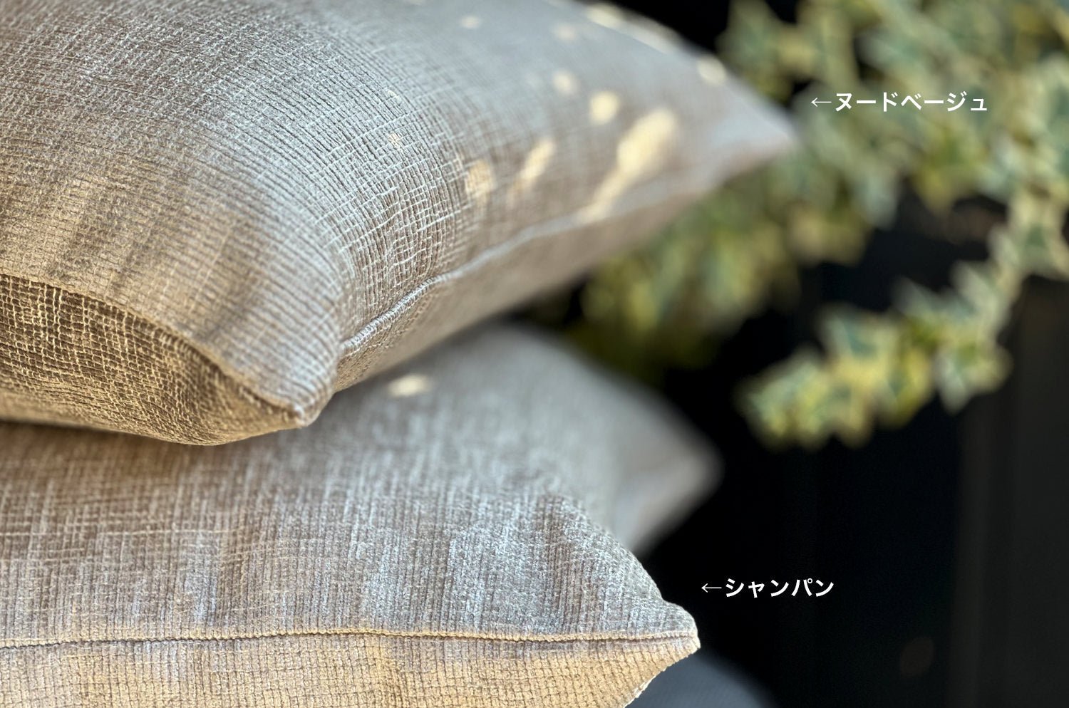 The ROUEN アルマーニカーザ ルーアン ジャカードベルベットクッション(シャンパン) 45×30cm 中材付 - HOUSE OF JAPAN Shop